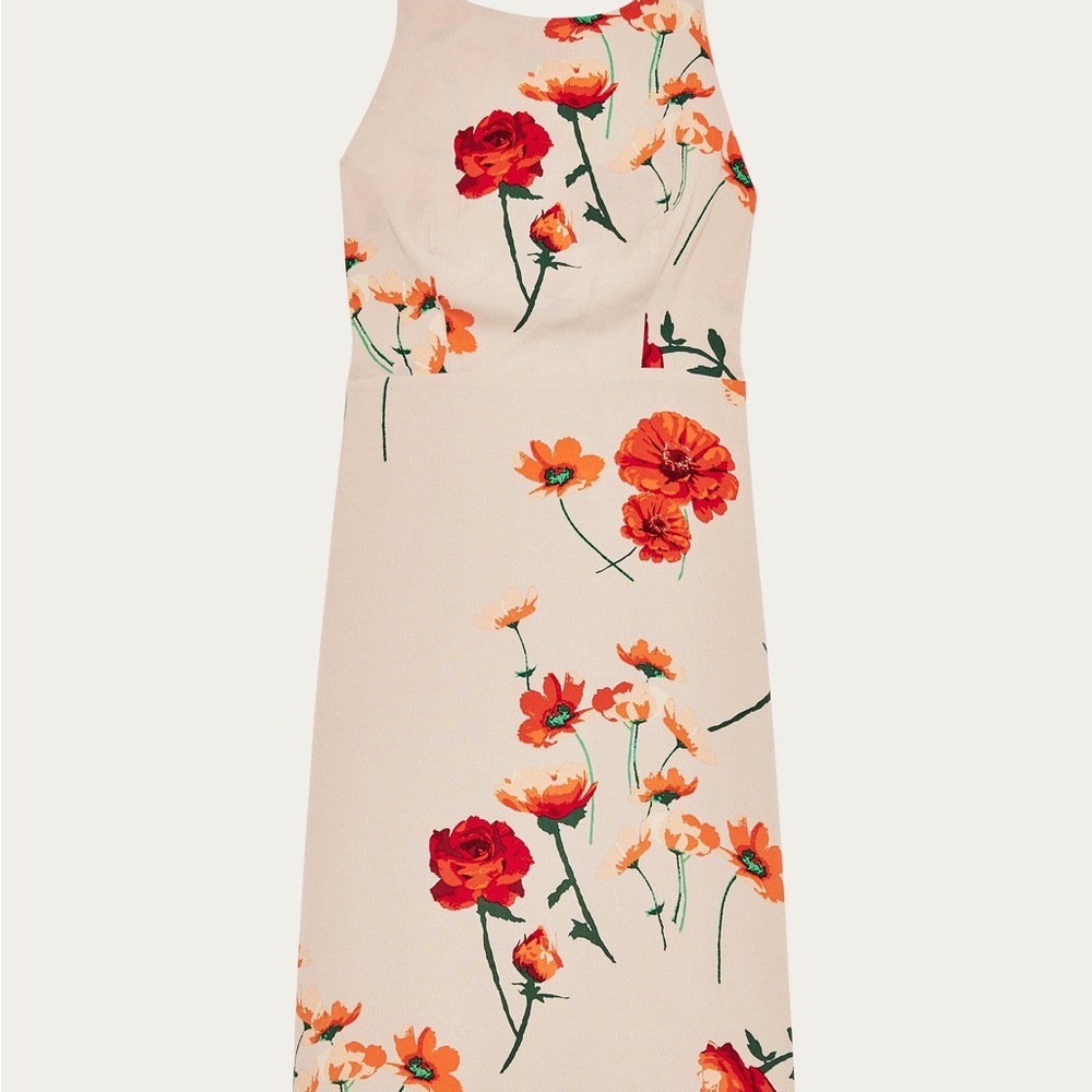 Aritzia wilfred poppy spring floral midi